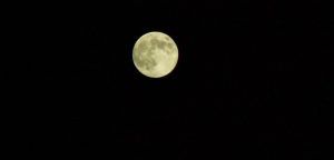 luna suesa
