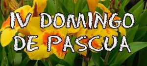 Buen Pastor