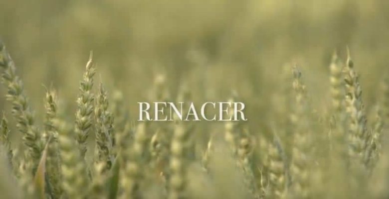 renacer suesa