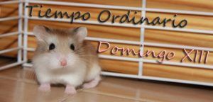 Quien