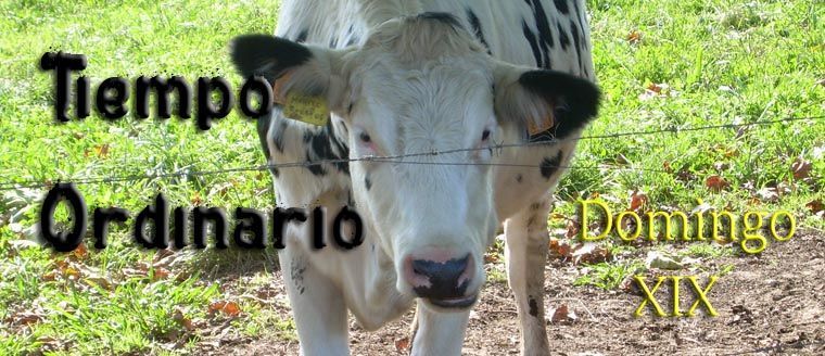 Ánimo