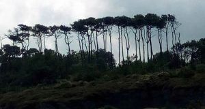 ejercicios suesa