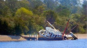 barco suesa