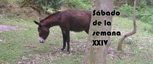 resto