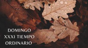 lenguaje SUESA