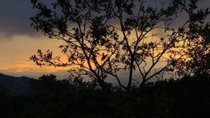 Adviento