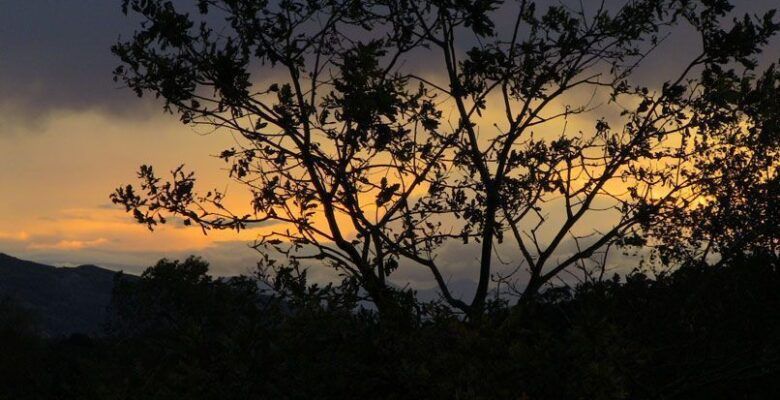 Adviento
